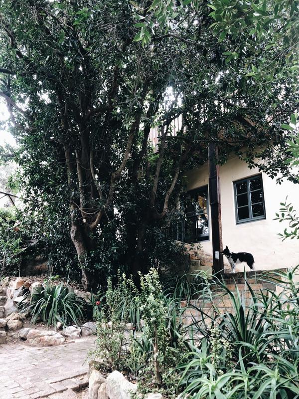 To Let 2 Bedroom Property for Rent in Chapman